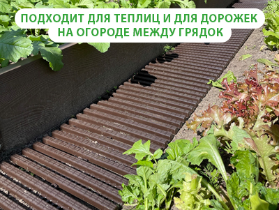 трапики